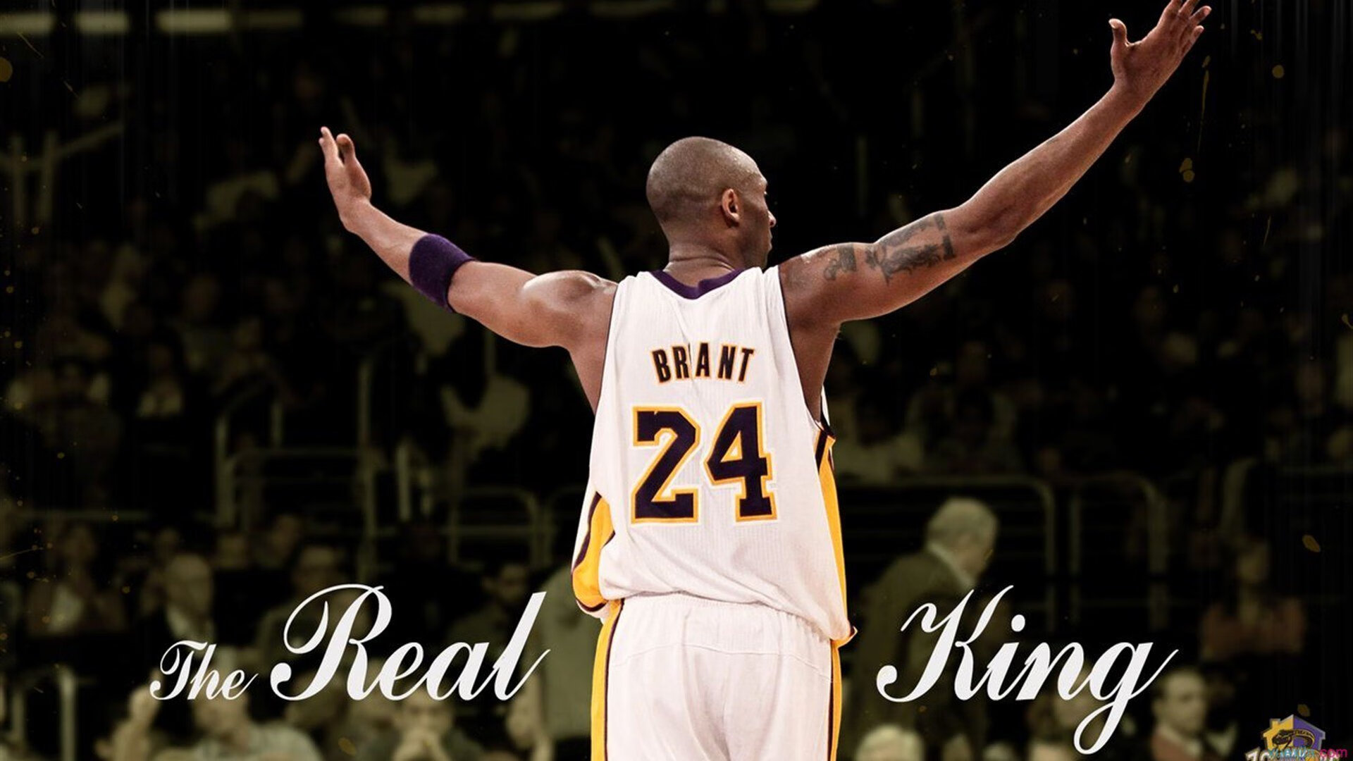 文班亚马绝杀森林狼，当未来在当下投出致命一击