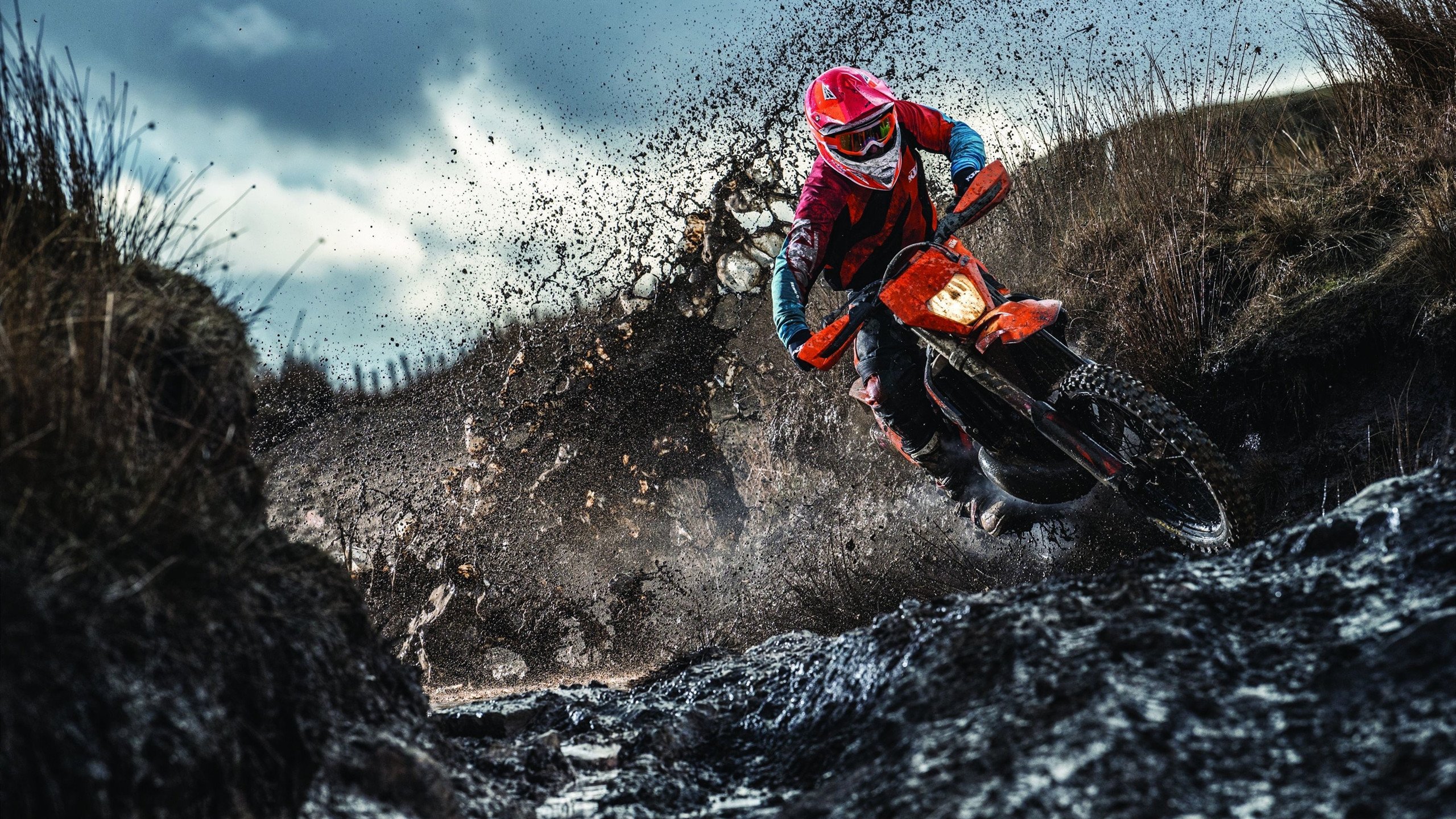 勒沃库森关键战突围伊朗，布雷默关键回合不手软